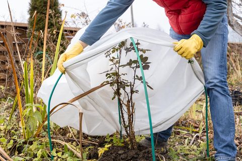 Auch der Garten muss auf den Winter vorbereitet werden