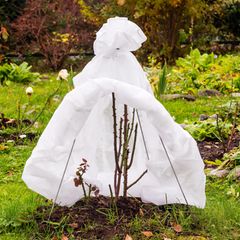 Auch der Garten muss auf den Winter vorbereitet werden