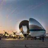Bild 1 der Fotostrecke zum Klicken: Dieses Flugzeug hat eine große Klappe: Bei der "Super Guppy" handelt es sich das letzte verbliebene Exemplar eines Spezialflugzeuges, das bei der Nasa im Einsatz ist.