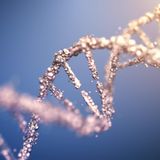 Zielgerichtete Krebstherapien mit Tumor-DNA-Test