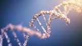 Zielgerichtete Krebstherapien mit Tumor-DNA-Test