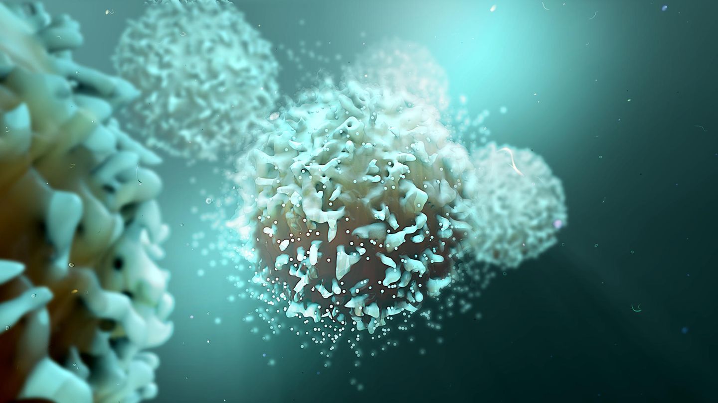 Krebsbekämpfung mit Checkpoint-Inhibitoren Krebsbekämpfung mit Checkpoint-Inhibitoren