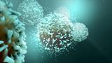 Krebsbekämpfung mit Checkpoint-Inhibitoren
