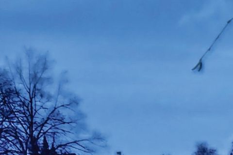 Kriminalfälle: Die Rache des Gärtners