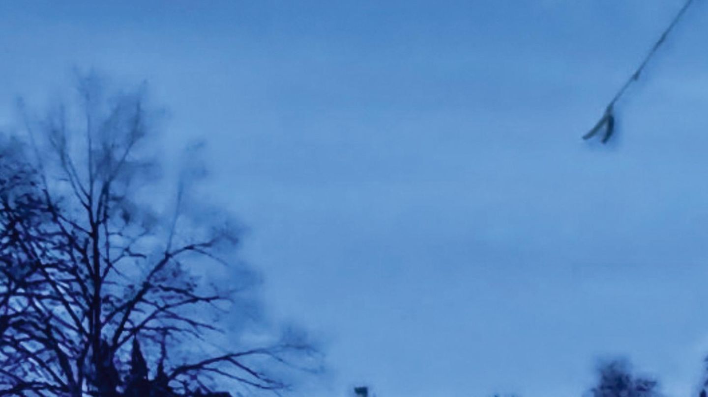Kriminalfälle: Die Rache des Gärtners
