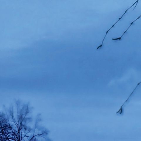 Kriminalfälle: Die Rache des Gärtners
