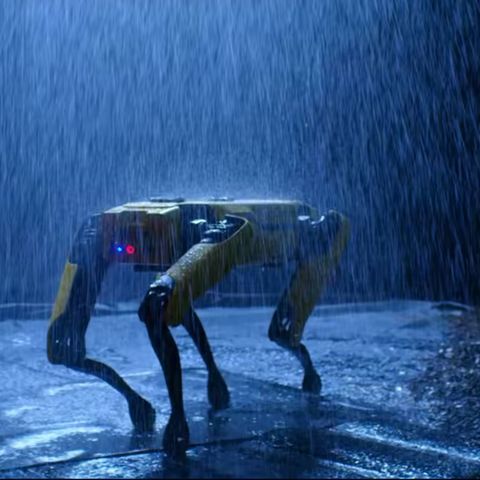 Roboter Hund