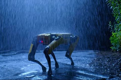 Roboter Hund