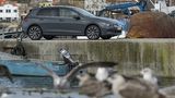 VW Golf 8