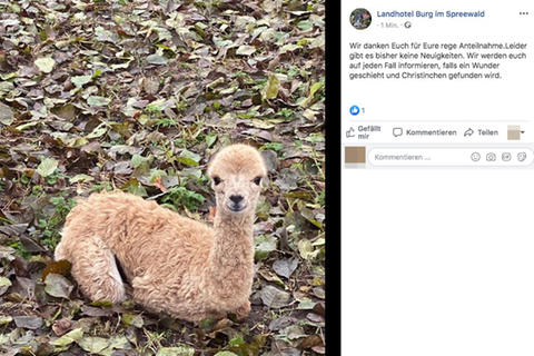 Ein Screenshot eines Facebook-Posts