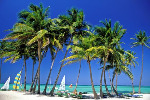 Für das Sommerreisegeschäft 2020 setzten die Veranstalter auf den Badeurlaub, mit und ohne Animationsprogramm.