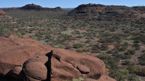 Vermisste Frau nach zwölf Tagen im Outback entdeckt
