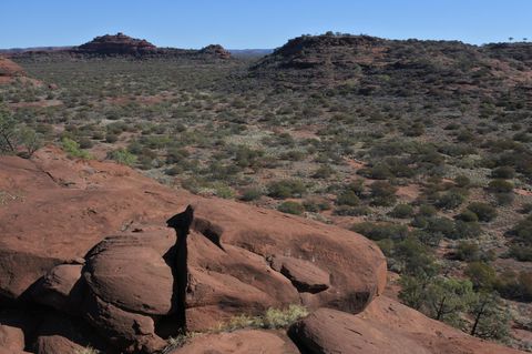Vermisste Frau nach zwölf Tagen im Outback entdeckt