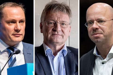 AfD-Bundessprecher Tino Chrupalla, AfD-Bundessprecher Jörg Meuthen und AfD-Beisitzer Andreas Kalbitz