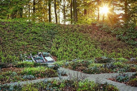 Friedhof in Dachsenhausen