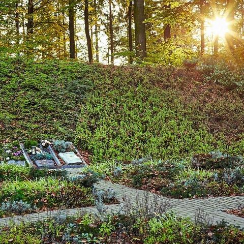 Friedhof in Dachsenhausen