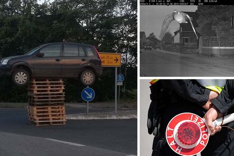 Jahresrückblick 2019 - Best of Nachrichten aus Deutschland