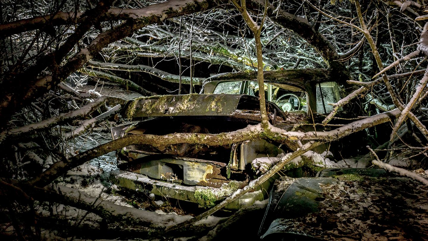 Dosenfisch: Der Mercedes 190 der Baureihe W110 (1961-65), "Kleine Heckflosse" genannt, macht diesem Namen alle Ehre, denn wie ein Riffbewohner scheint er sich im Korallenwald zu verbergen. Bierdosen, die man nach dem Motto "Blech ist Blech" im Kofferraum entsorgt hatte, räumten wir aus Pietätsgründen beiseite.