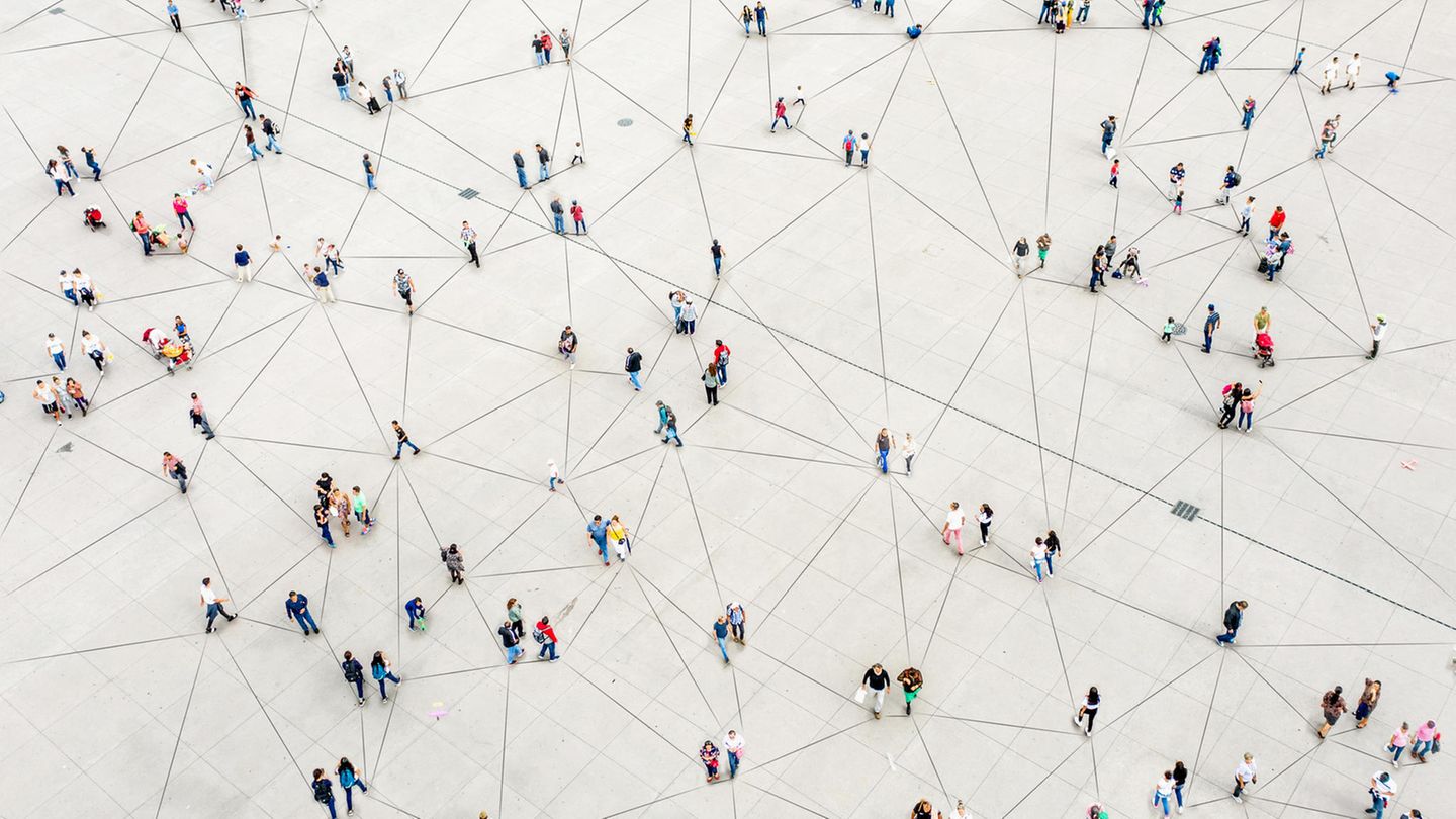 Bauen Sie ein Netzwerk auf Bauen Sie ein Netzwerk auf