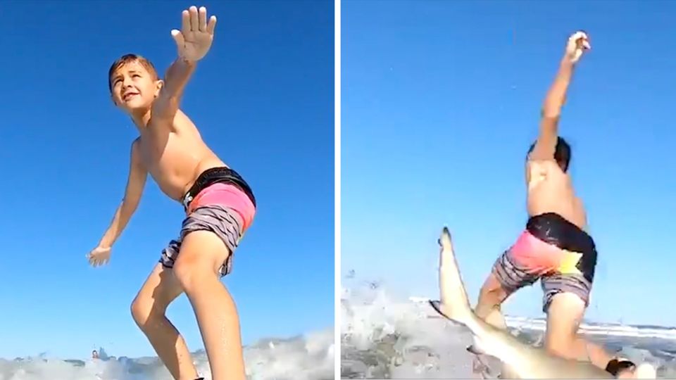 Hai schmeißt 7-Jährigen vom Surfbrett Hai schmeißt 7-Jährigen vom Surfbrett