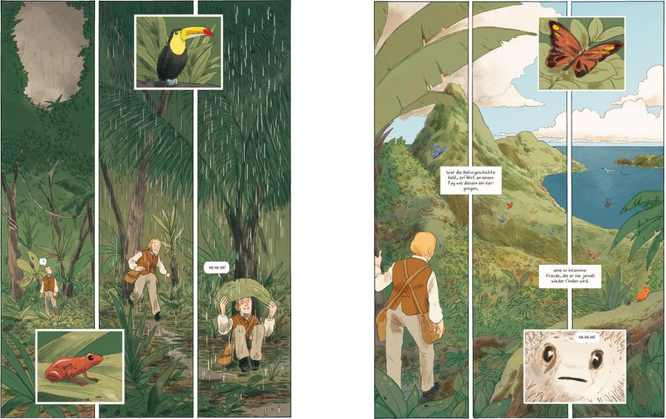 Darwin läuft durch Wälder und entdeckt die Tierwelt