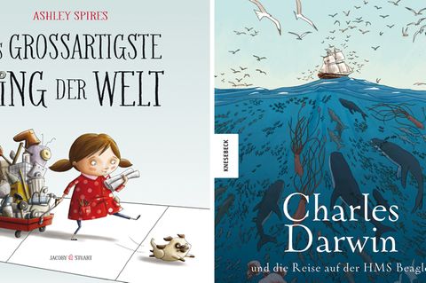 Zwei Titelbilder