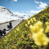 Tag 4: Kilometer 316  Die beiden erreichen Warth im Vorarlberg und wundern sich über die Temperaturen von 28 Grad in 2000 Metern Höhe. Freeriden geht bei den Schneeverhältnissen schon lange nicht mehr. Haben sie die Ski umsonst mitgeschleppt?