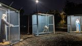 Claremont, Vereinigte Staaten. Was wäre, wenn Maria und Josef in der heutigen Zeit nach der Geburt ihre Sohnes ihre Heimat hätten verlassen müssen? Sie würden voneinander und von ihrem Kind getrennt worden und in Lager der US-Grenzpolizei gesteckt werden. So zumindest vermutetet es die Methodistenkirche in Claremont im US-Bundesstaat Kalifornien. Um den Umgang der Regierung mit Flüchtlingen zu kritisieren, fällt das Krippenspiel in diesem Jahr an der Kirche anders aus: Maria, Josef und das Jesuskind stehen nicht vereint in einer Hütte aus Holz, sondern sind jeweils in enge Käfige gesperrt. Nach Angaben der Kirche wurden in den USA in den vergangenen drei Jahren mehr als 5500 Kinder von Migranten von ihren Eltern getrennt.