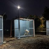 Claremont, Vereinigte Staaten. Was wäre, wenn Maria und Josef in der heutigen Zeit nach der Geburt ihre Sohnes ihre Heimat hätten verlassen müssen? Sie würden voneinander und von ihrem Kind getrennt worden und in Lager der US-Grenzpolizei gesteckt werden. So zumindest vermutetet es die Methodistenkirche in Claremont im US-Bundesstaat Kalifornien. Um den Umgang der Regierung mit Flüchtlingen zu kritisieren, fällt das Krippenspiel in diesem Jahr an der Kirche anders aus: Maria, Josef und das Jesuskind stehen nicht vereint in einer Hütte aus Holz, sondern sind jeweils in enge Käfige gesperrt. Nach Angaben der Kirche wurden in den USA in den vergangenen drei Jahren mehr als 5500 Kinder von Migranten von ihren Eltern getrennt.