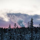 Ein rauchender Schlot mitten im Wald der Samen. Minen, Windräder und Staudämme verschrecken die Rentiere, die somit auf immer kleinere Futtergebiete angewiesen sind.