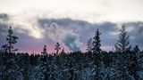 Ein rauchender Schlot mitten im Wald der Samen. Minen, Windräder und Staudämme verschrecken die Rentiere, die somit auf immer kleinere Futtergebiete angewiesen sind.