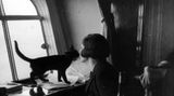 Lady Grace Drummond Hay mit ihrer Katze im Aufenthaltsraum  der "Graf Zeppelin". Sie war 1929 die einzige weibliche Reisende an Bord des Luftschiffes LZ 127 beim Flug um die Erde.