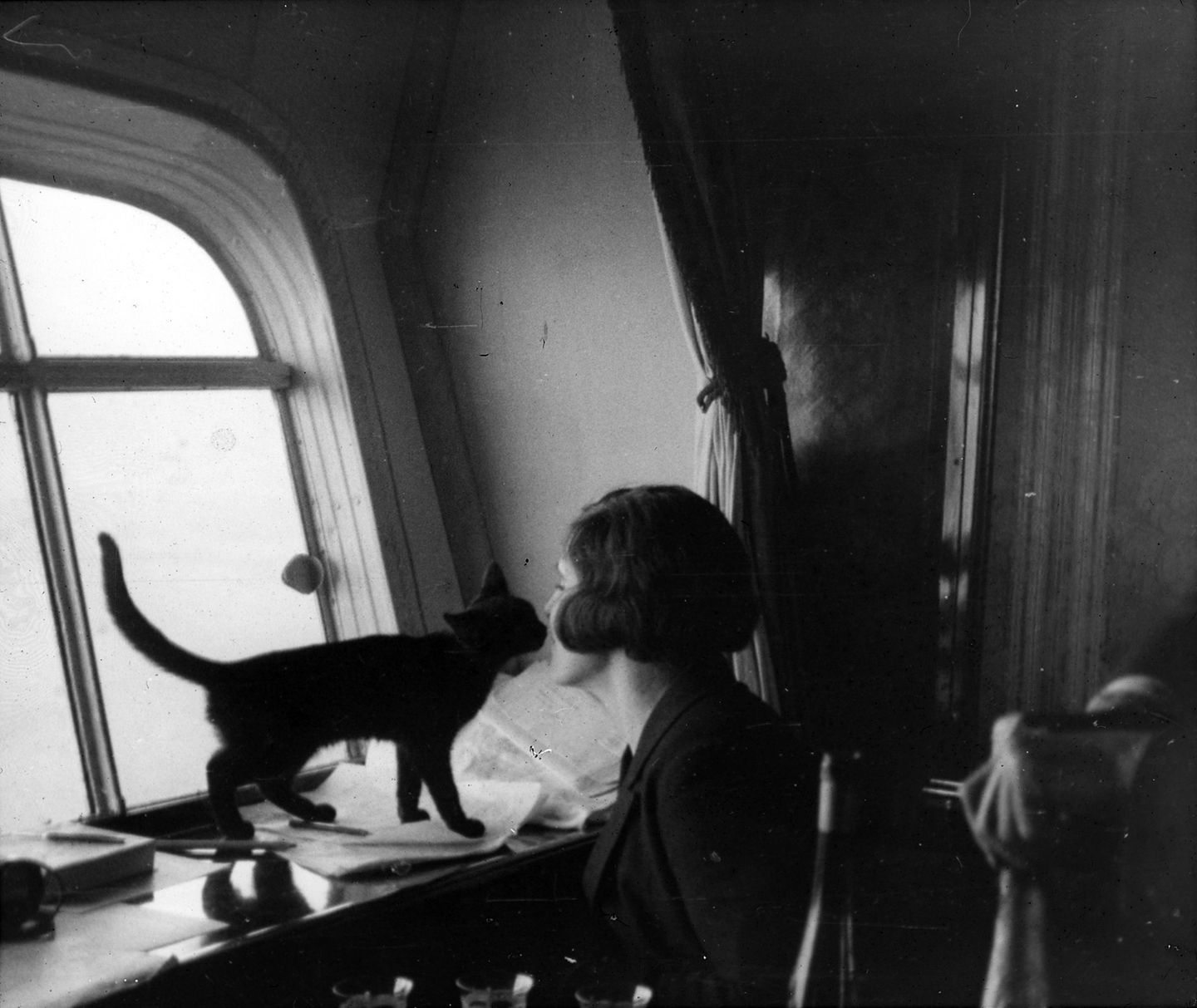Lady Grace Drummond Hay mit ihrer Katze im Aufenthaltsraum  der "Graf Zeppelin". Sie war 1929 die einzige weibliche Reisende an Bord des Luftschiffes LZ 127 beim Flug um die Erde.