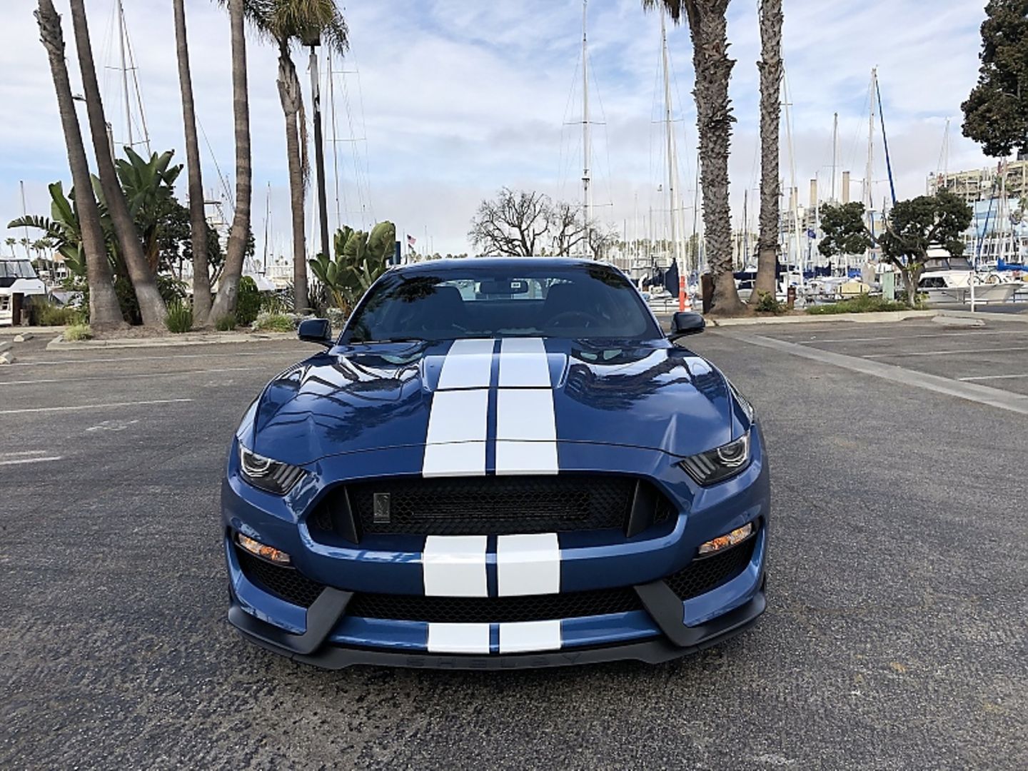 Ford Mustang Shelby GT 350
