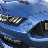 Ford Mustang Shelby GT 350