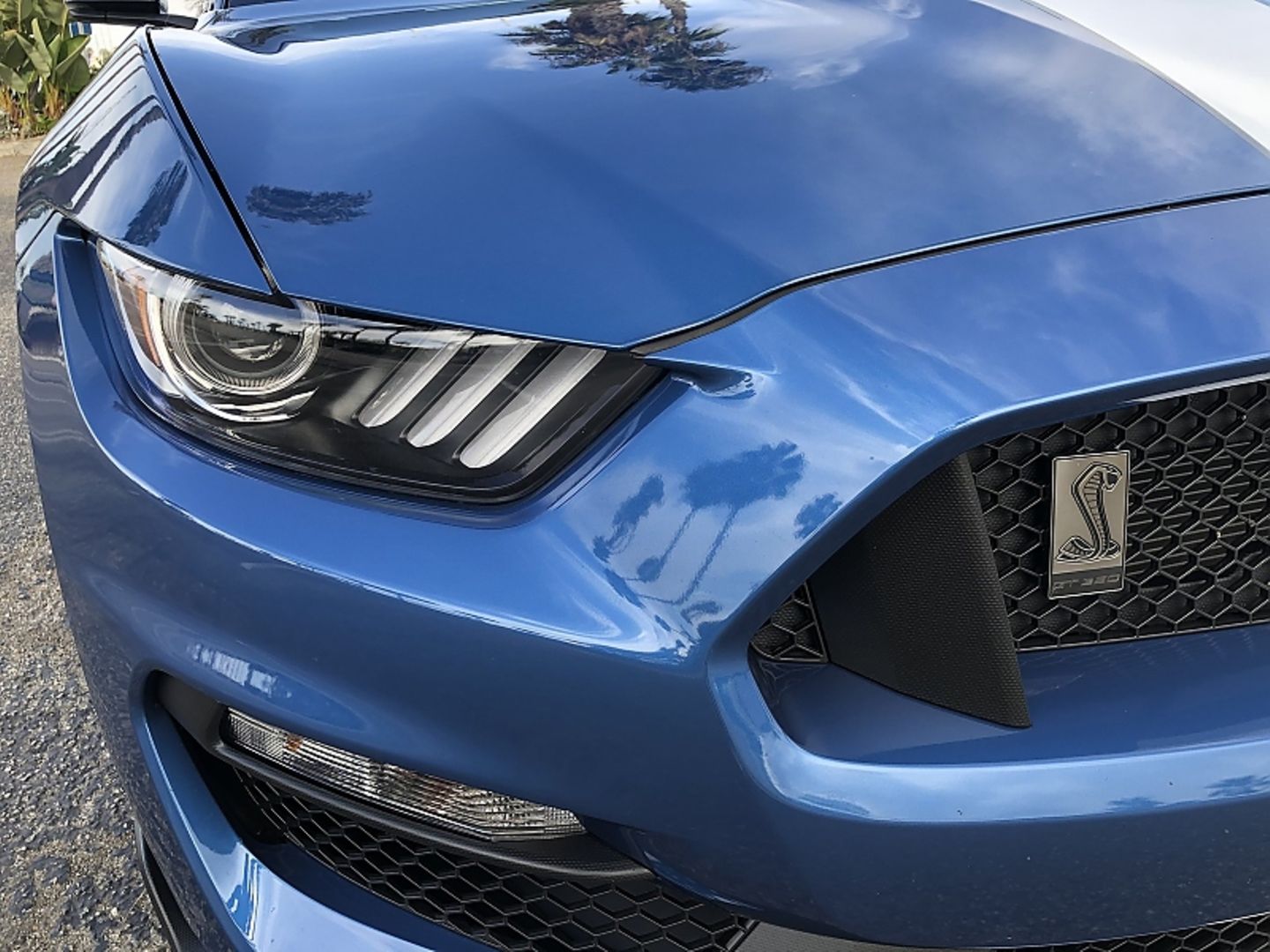 Ford Mustang Shelby GT 350