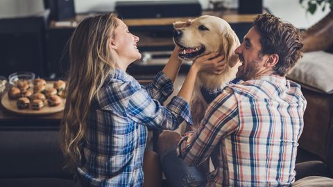 Es gibt zahlreiche Geschenke für Hundebesitzer: Hier finden Sie zehn originelle und sinnvolle Ideen