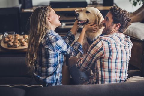 Es gibt zahlreiche Geschenke für Hundebesitzer: Hier finden Sie zehn originelle und sinnvolle Ideen