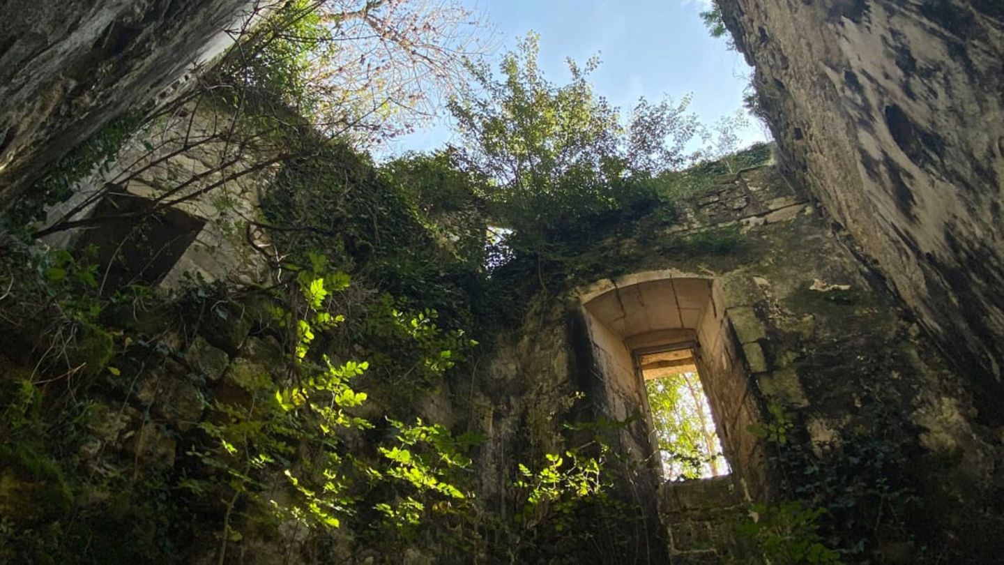 Château de Vibrac