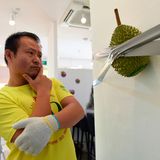 Singapur. Kelvin Tan ist Mitbesitzer von 99 Old Trees, einem Laden für Durian-Früchte, die in Südostasien als Delikatesse gelten, obwohl sie höllisch stinken. Tan ist außerdem ein Mann mit Humor. Hier posiert er mit seiner Durian-Parodie auf das 120.000 US-Dollar teure Kunstwerk "Comedian" von Maurizio Cattelan, das aus einer Banane besteht, die an eine Wand geklebt wurde. Der Titel von Tans Werk: "Sieht aus wie Kunst, riecht nach Furz".