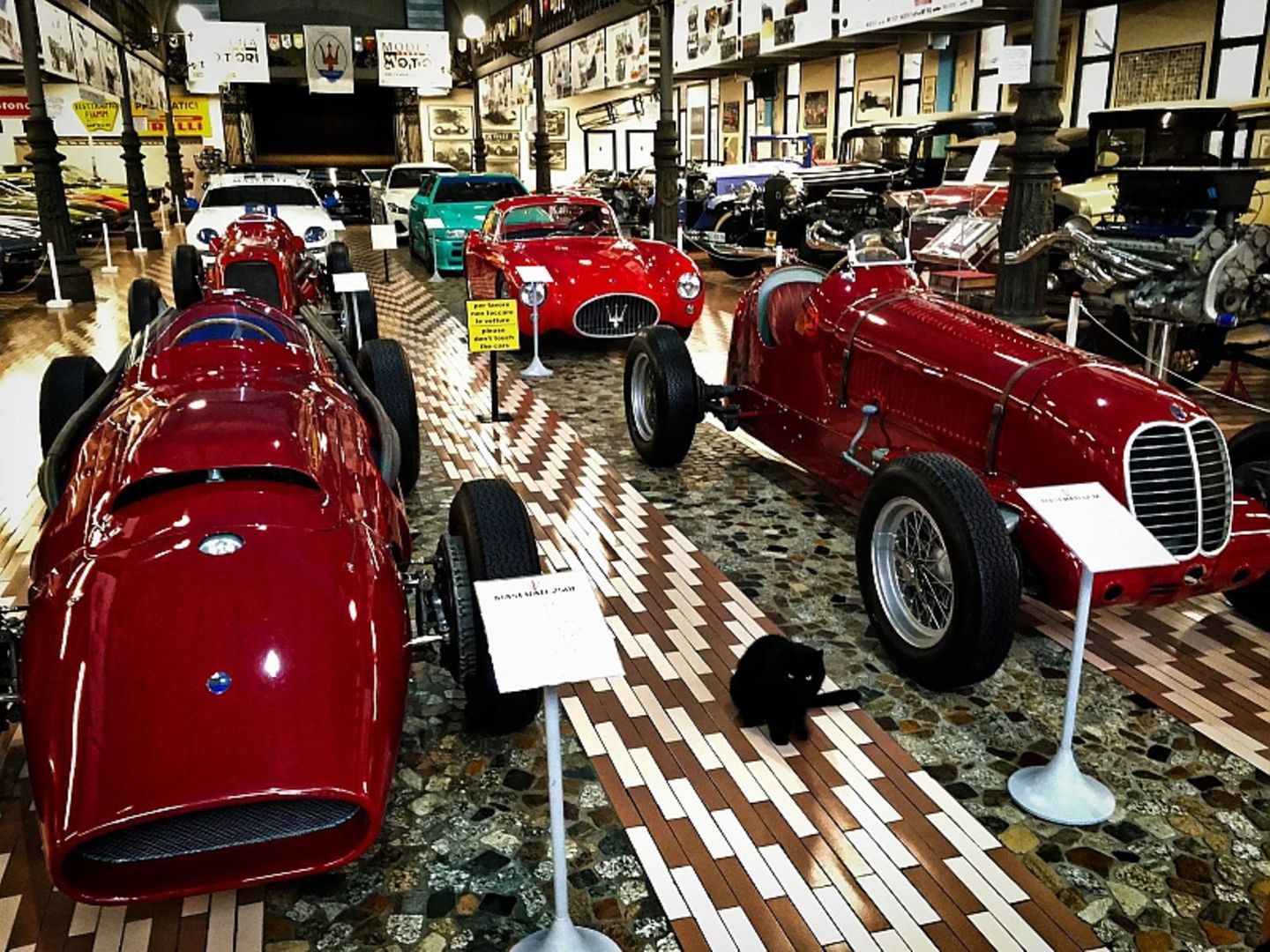 Autos mit Hauskatze im Panini Museum