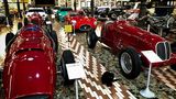 Autos mit Hauskatze im Panini Museum