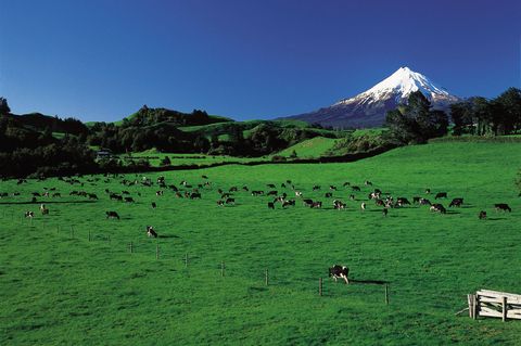 Taranaki auf der Nordinsel Neuseelands