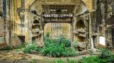 In diesem verlassenen Theater in der kubanischen Hauptstadt Havanna haben sich Pflanzen verlorenes Terrain zurückerobert und bilden mit dem Bauwerk eine reizvolle Mischform zwischen Kultur und Natur.