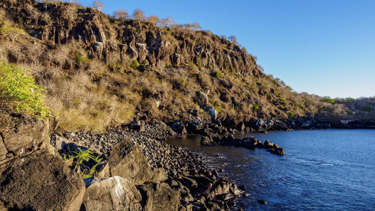 Ein Küstenabschnitt der Galápagos-Insel San Cristóbal (Archivbild)