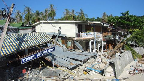 Wenige Tage nach dem Tsunami auf Koh Phi Phi, der Insel zwischen Phuket und Koh Lanta