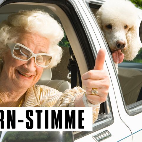 #Umweltsau - Oma sitzt in einem Auto