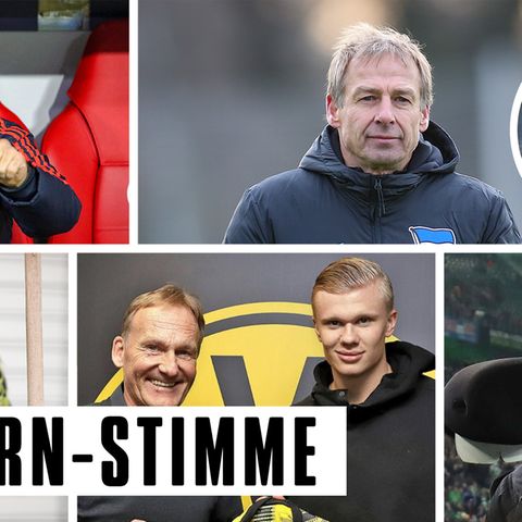 Bundesliga Rückblick