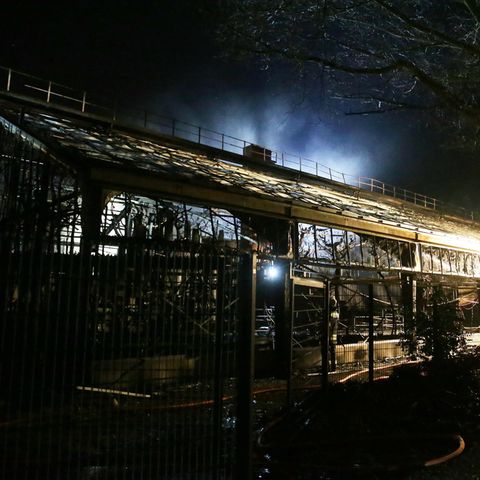 Mehr als 30 Tiere kamen bei dem Feuer ums Leben