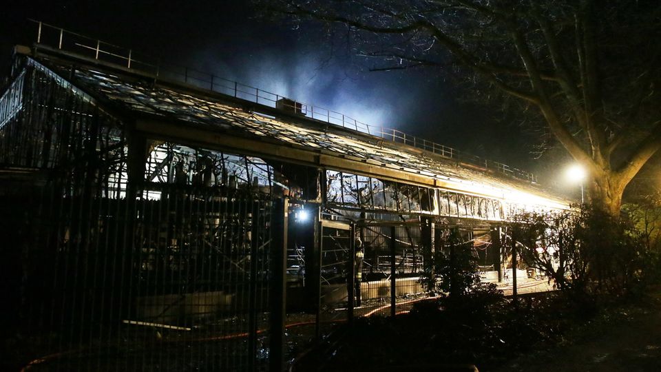 Mehr als 30 Tiere kamen bei dem Feuer ums Leben